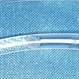 Toxocariasis Cyst Gross Pathology Specimen